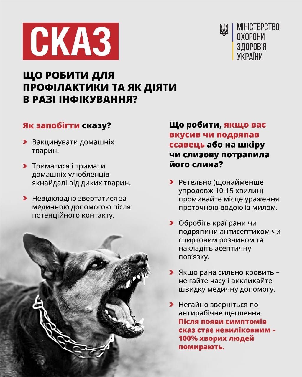 Війна підвищує ризики зараження сказом