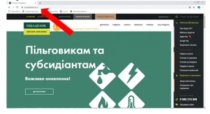 Електронні сервіси: інформація про перерахування  безготівкових пільг та субсидій ОНЛАЙН