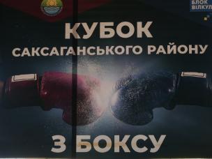 Криворізькі боксери на Відкритому Кубку Саксаганського району вибороли 11 золотих медалей